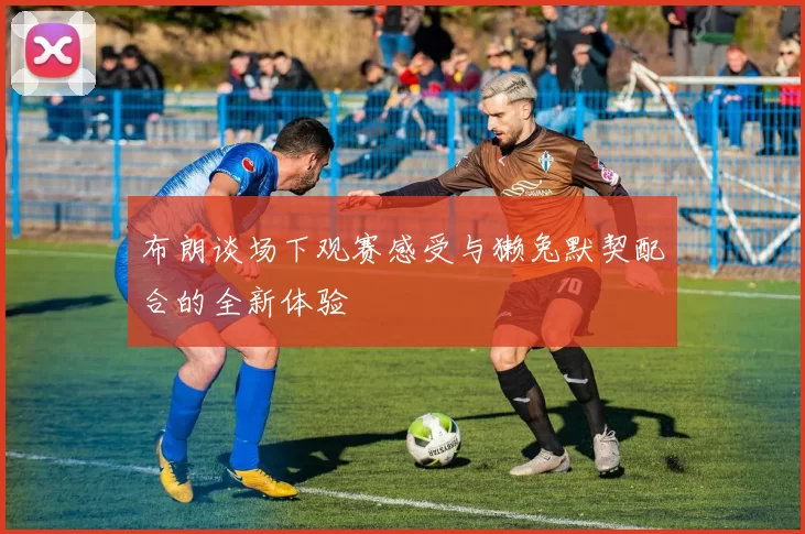 布朗谈场下观赛感受与獭兔默契配合的全新体验